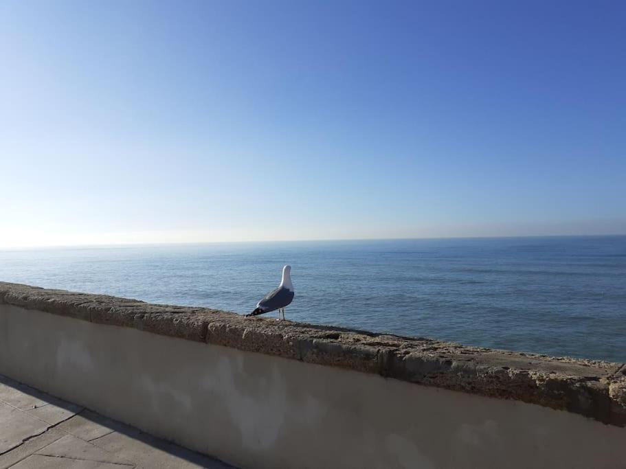 דירות קדיז Mar Y Sol מראה חיצוני תמונה